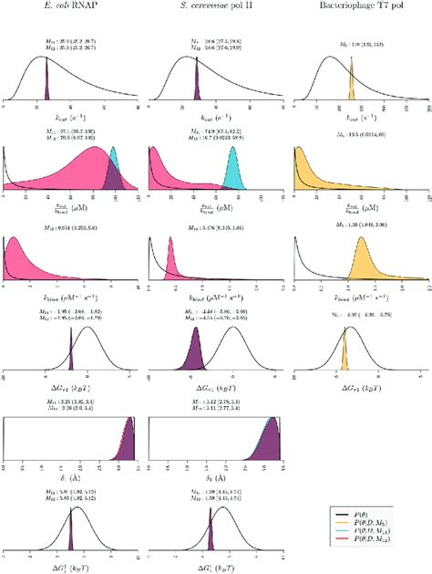 what is the posterior distribution